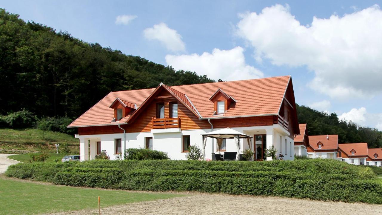 Appartment Kastelo Victoria Zalacsany Luaran gambar